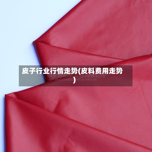 皮子行业行情走势(皮料费用走势)-第3张图片