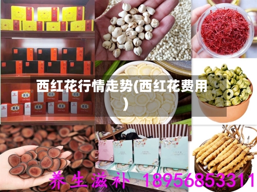 西红花行情走势(西红花费用)-第2张图片