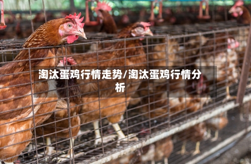 淘汰蛋鸡行情走势/淘汰蛋鸡行情分析