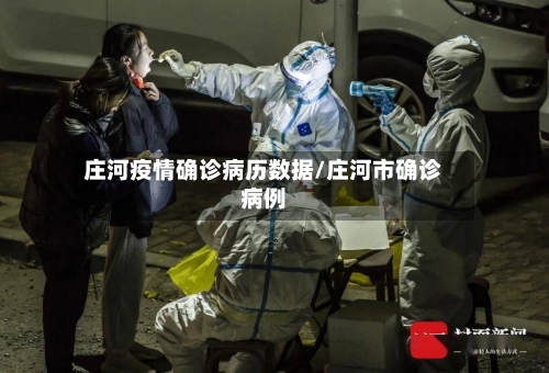 庄河疫情确诊病历数据/庄河市确诊病例-第2张图片
