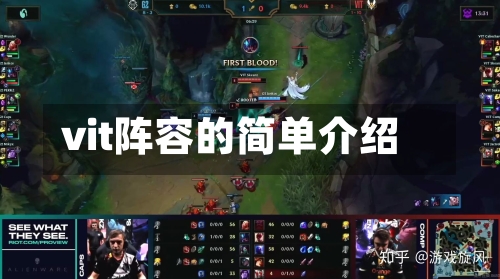 vit阵容的简单介绍