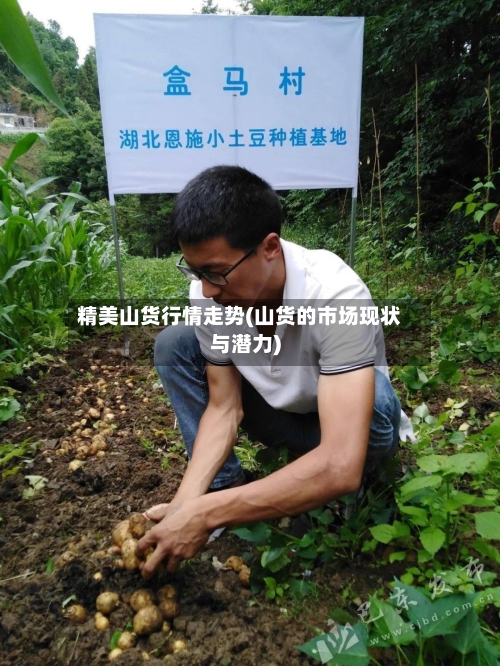 精美山货行情走势(山货的市场现状与潜力)
