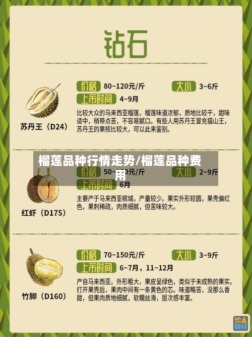 榴莲品种行情走势/榴莲品种费用