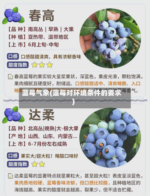 蓝莓气象(蓝莓对环境条件的要求)-第3张图片