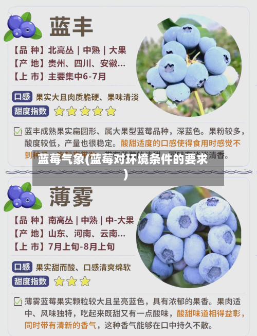 蓝莓气象(蓝莓对环境条件的要求)-第2张图片