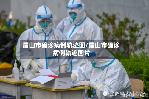 眉山市确诊病例轨迹图/眉山市确诊病例轨迹图片