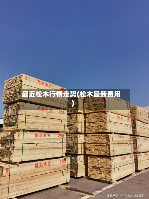 最近松木行情走势(松木最新费用)-第2张图片