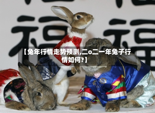 【兔年行情走势预测,二o二一年兔子行情如何?】