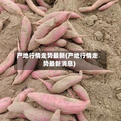 产地行情走势最新(产地行情走势最新消息)