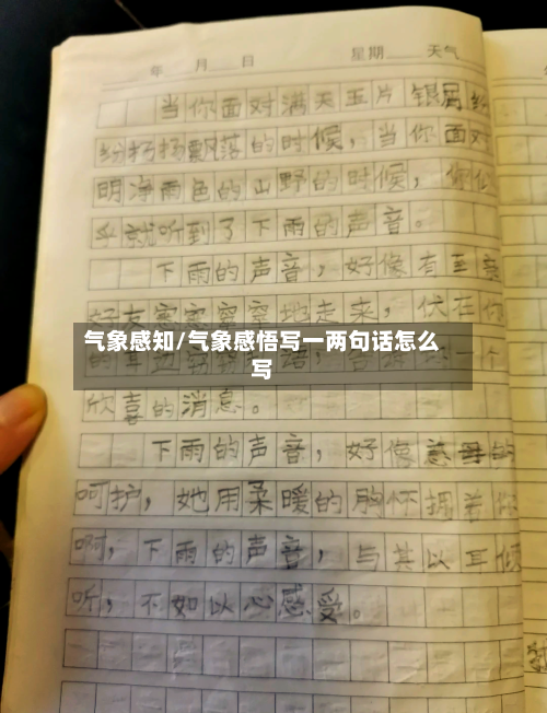 气象感知/气象感悟写一两句话怎么写