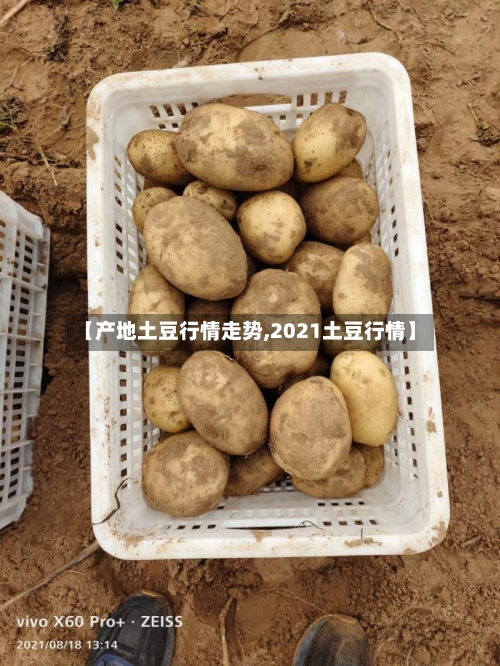 【产地土豆行情走势,2021土豆行情】