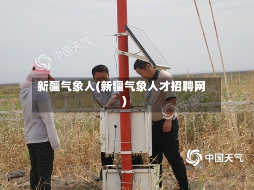 新疆气象人(新疆气象人才招聘网)