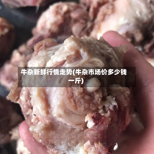 牛杂新鲜行情走势(牛杂市场价多少钱一斤)