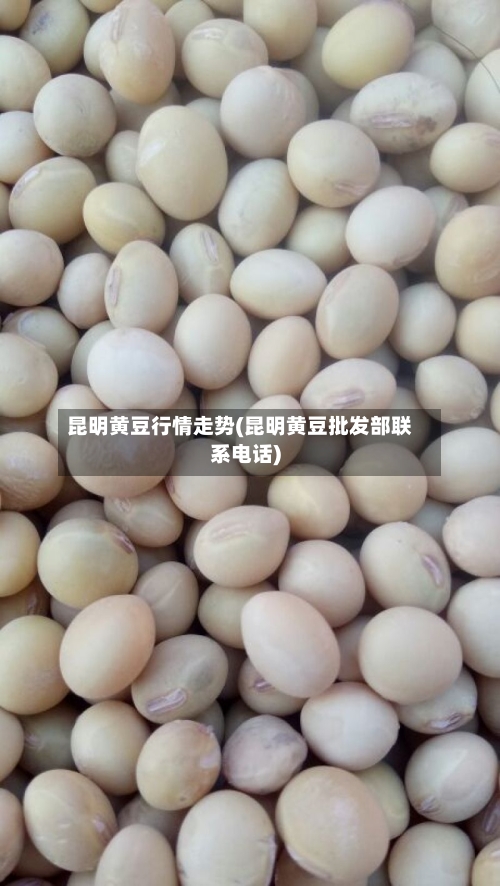 昆明黄豆行情走势(昆明黄豆批发部联系电话)