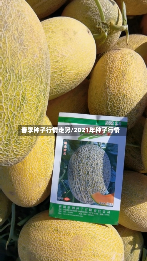 春季种子行情走势/2021年种子行情-第2张图片