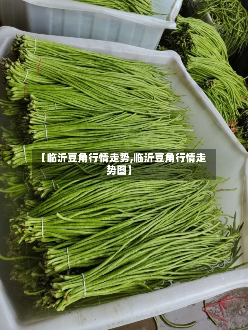 【临沂豆角行情走势,临沂豆角行情走势图】
