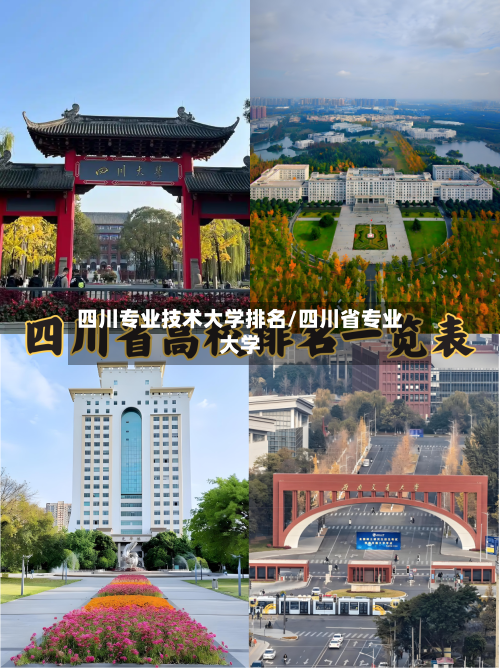 四川专业技术大学排名/四川省专业大学-第3张图片