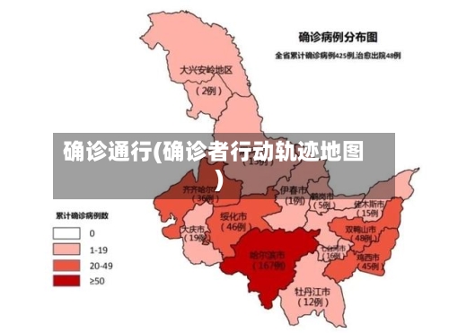 确诊通行(确诊者行动轨迹地图)