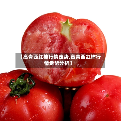 【高青西红柿行情走势,高青西红柿行情走势分析】-第2张图片