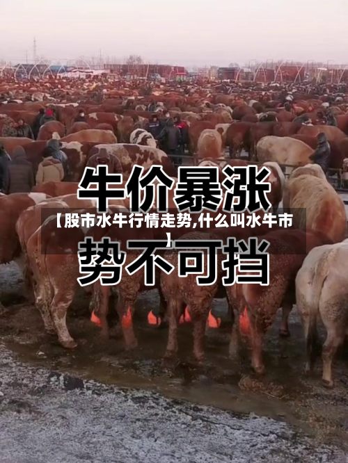 【股市水牛行情走势,什么叫水牛市】-第2张图片