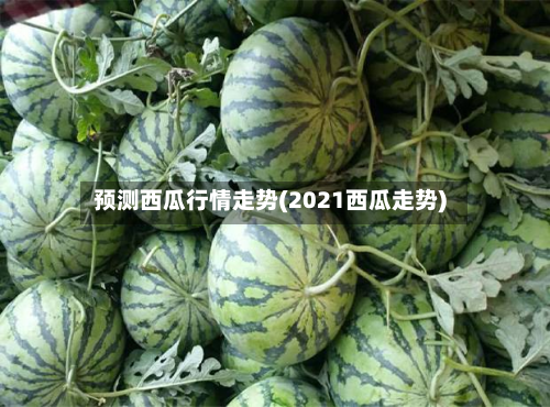 预测西瓜行情走势(2021西瓜走势)