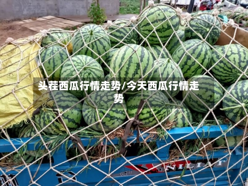 头茬西瓜行情走势/今天西瓜行情走势