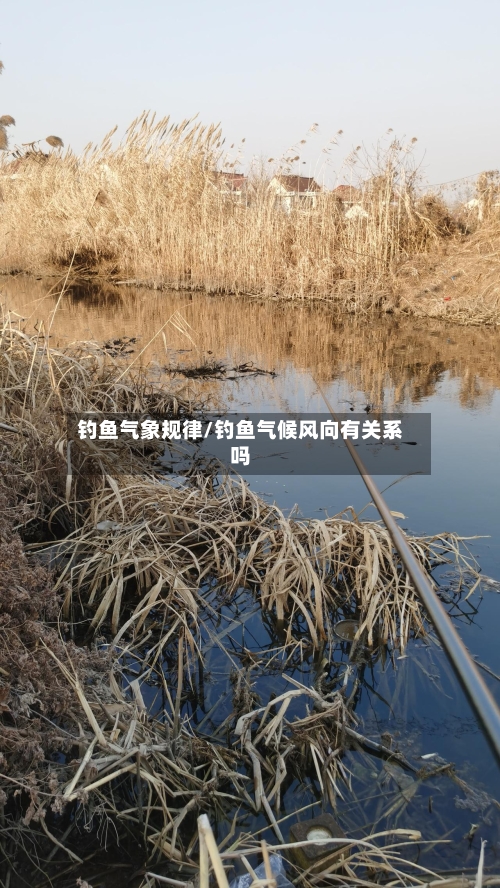 钓鱼气象规律/钓鱼气候风向有关系吗-第3张图片