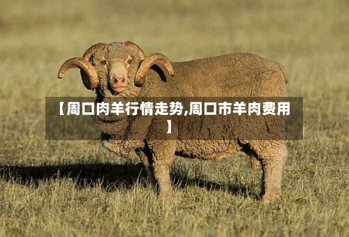 【周口肉羊行情走势,周口市羊肉费用】-第2张图片
