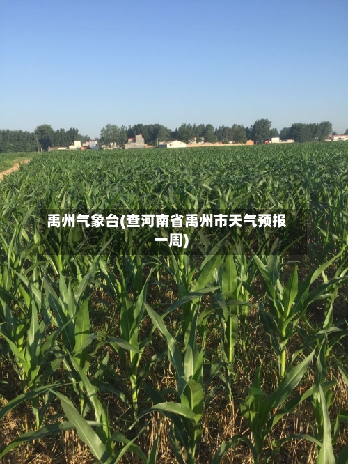 禹州气象台(查河南省禹州市天气预报一周)-第2张图片
