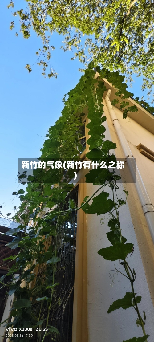 新竹的气象(新竹有什么之称)-第2张图片