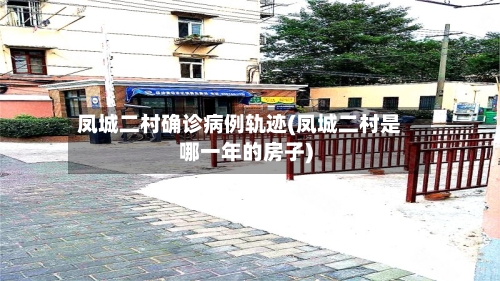 凤城二村确诊病例轨迹(凤城二村是哪一年的房子)-第2张图片