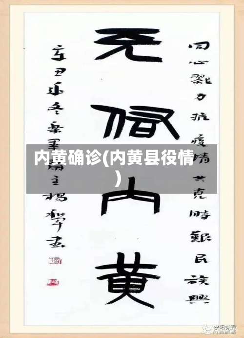 内黄确诊(内黄县役情)-第3张图片