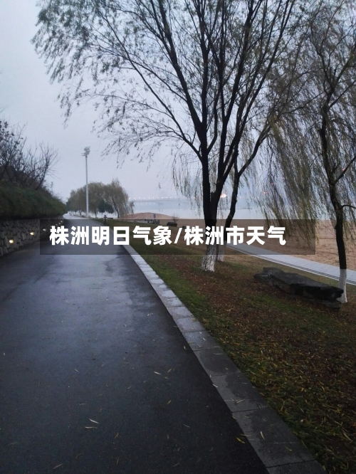 株洲明日气象/株洲市天气