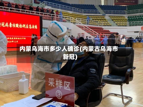 内蒙乌海市多少人确诊(内蒙古乌海市新冠)-第2张图片