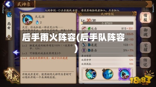 后手雨火阵容(后手队阵容)