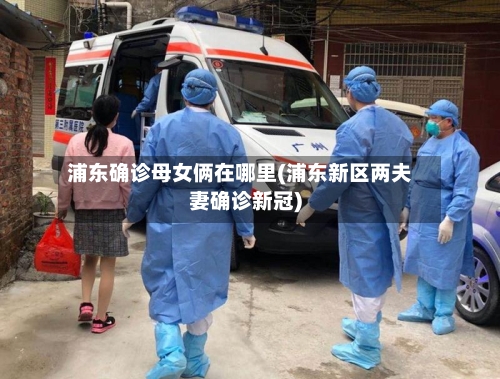 浦东确诊母女俩在哪里(浦东新区两夫妻确诊新冠)