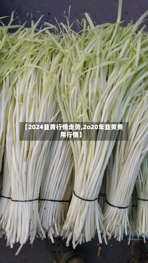 【2024韭黄行情走势,2o20年韭黄费用行情】-第3张图片