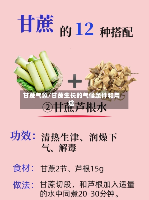 甘蔗气象/甘蔗生长的气候条件和用途-第2张图片