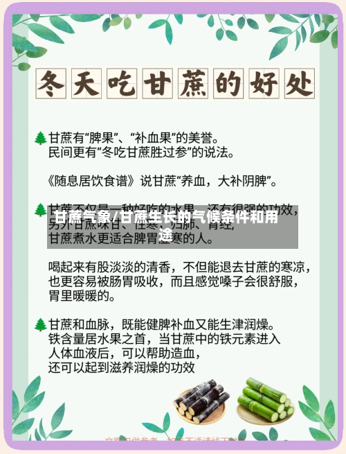 甘蔗气象/甘蔗生长的气候条件和用途