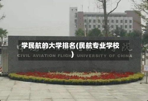 学民航的大学排名(民航专业学校)-第2张图片