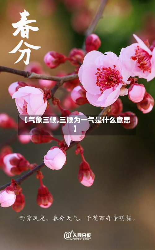 【气象三候,三候为一气是什么意思】-第3张图片