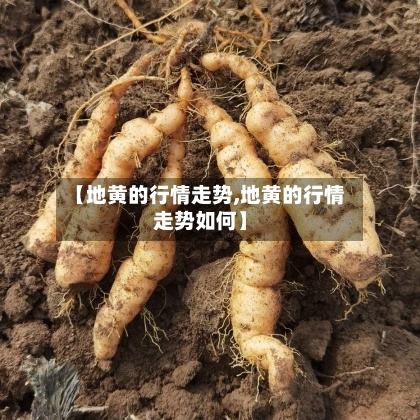 【地黄的行情走势,地黄的行情走势如何】