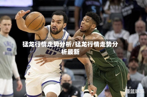 猛龙行情走势分析/猛龙行情走势分析最新-第2张图片