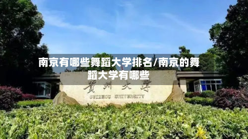南京有哪些舞蹈大学排名/南京的舞蹈大学有哪些-第2张图片