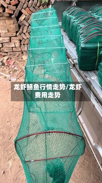 龙虾鳝鱼行情走势/龙虾费用走势