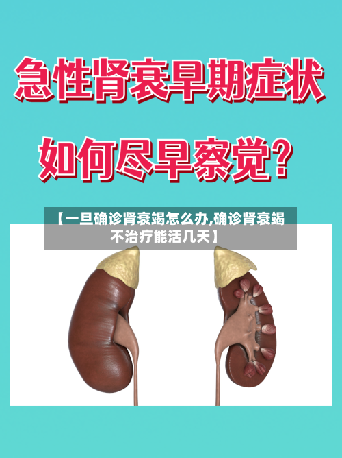 【一旦确诊肾衰竭怎么办,确诊肾衰竭不治疗能活几天】-第2张图片