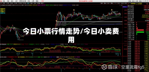 今日小票行情走势/今日小卖费用