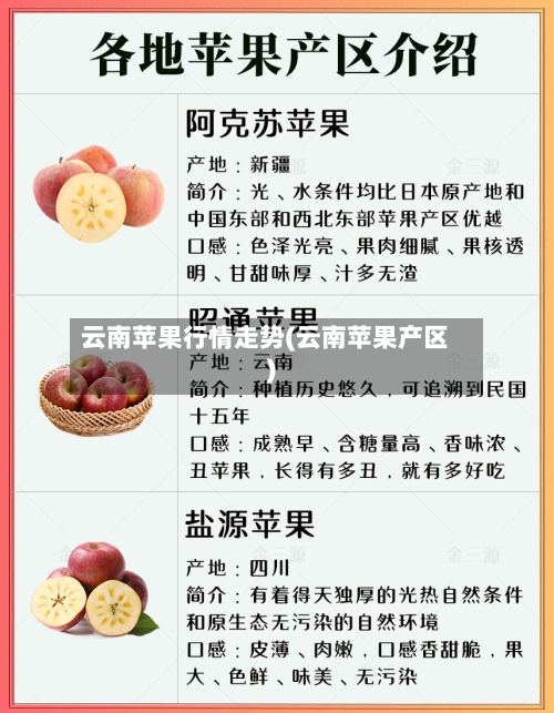 云南苹果行情走势(云南苹果产区)-第2张图片