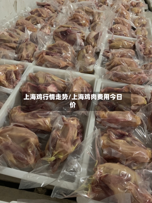 上海鸡行情走势/上海鸡肉费用今日价