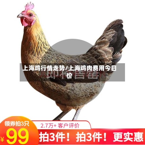 上海鸡行情走势/上海鸡肉费用今日价-第2张图片